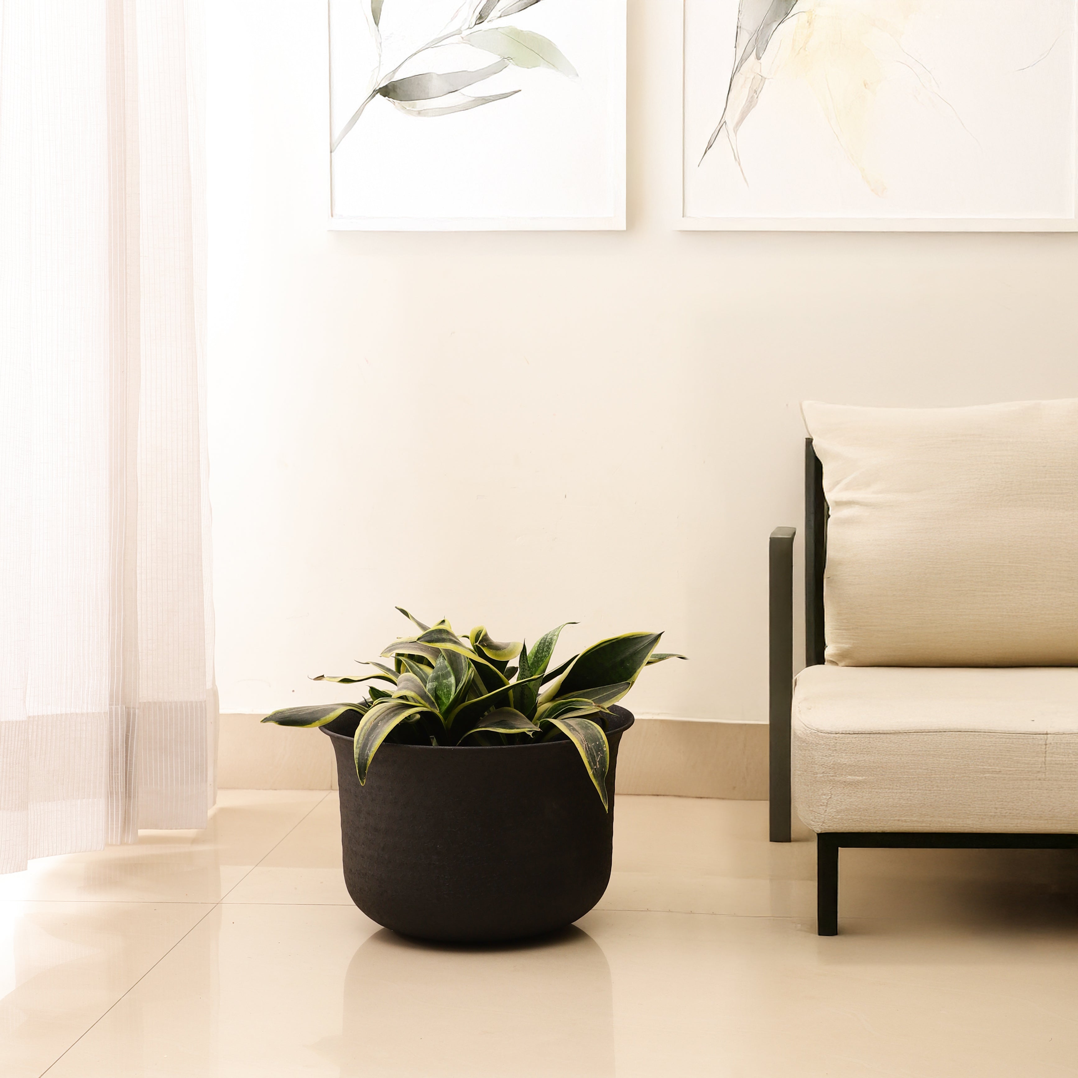 FloraNest Black Small Garden Planter/Pot Indoor & Outdoor