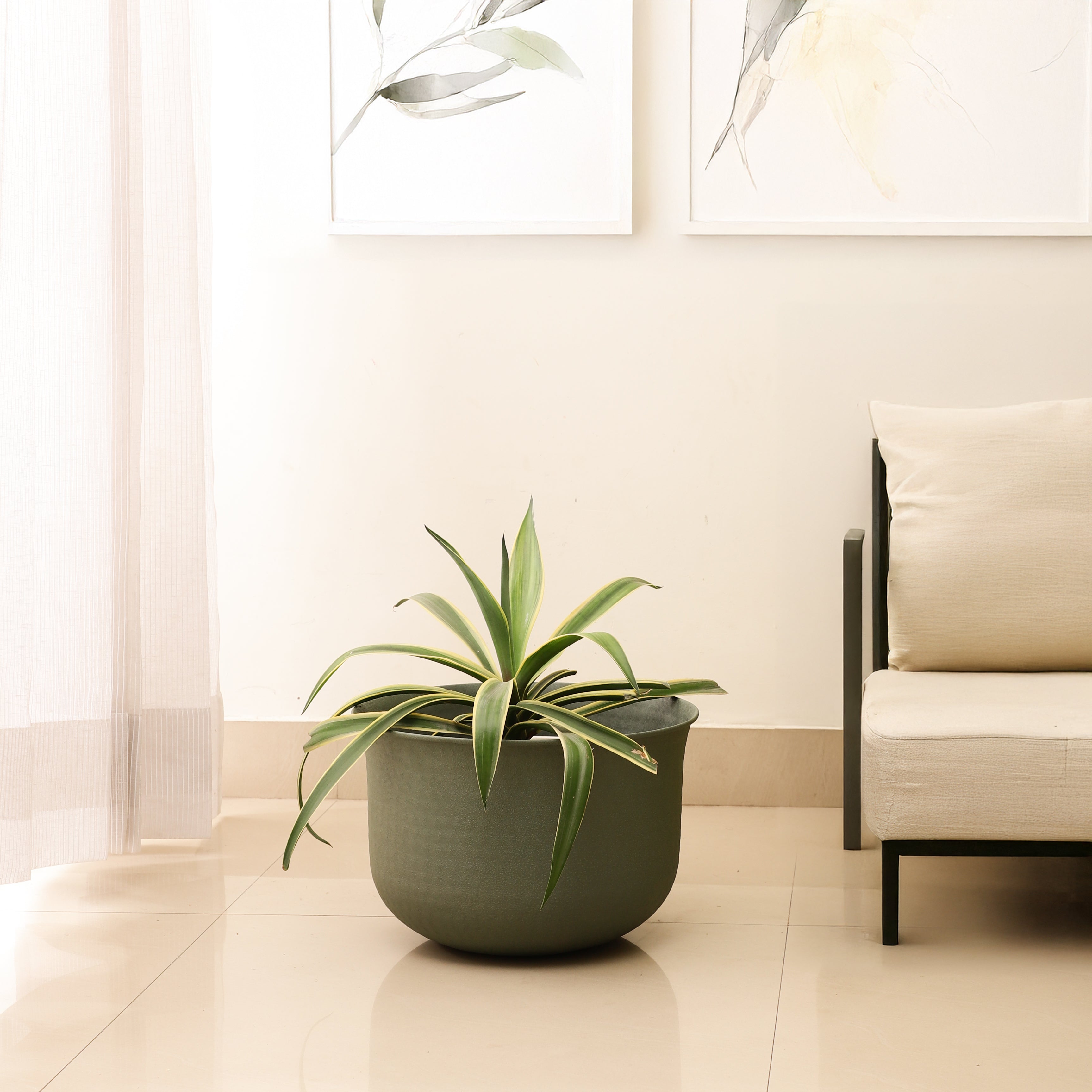 FloraNest Green Medium Garden Planter/Pot Indoor & Outdoor