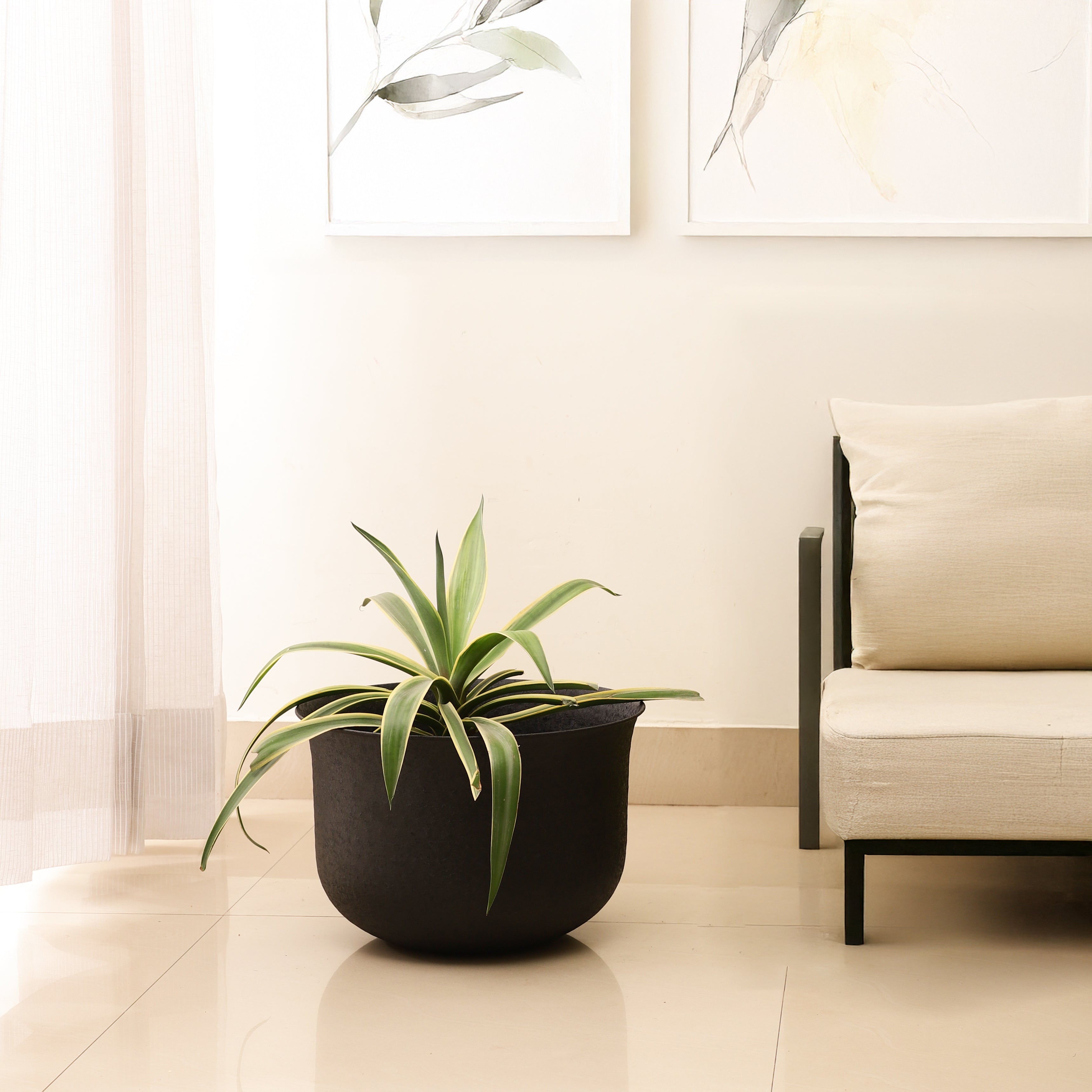 FloraNest Black Medium Garden Planter/Pot Indoor & Outdoor