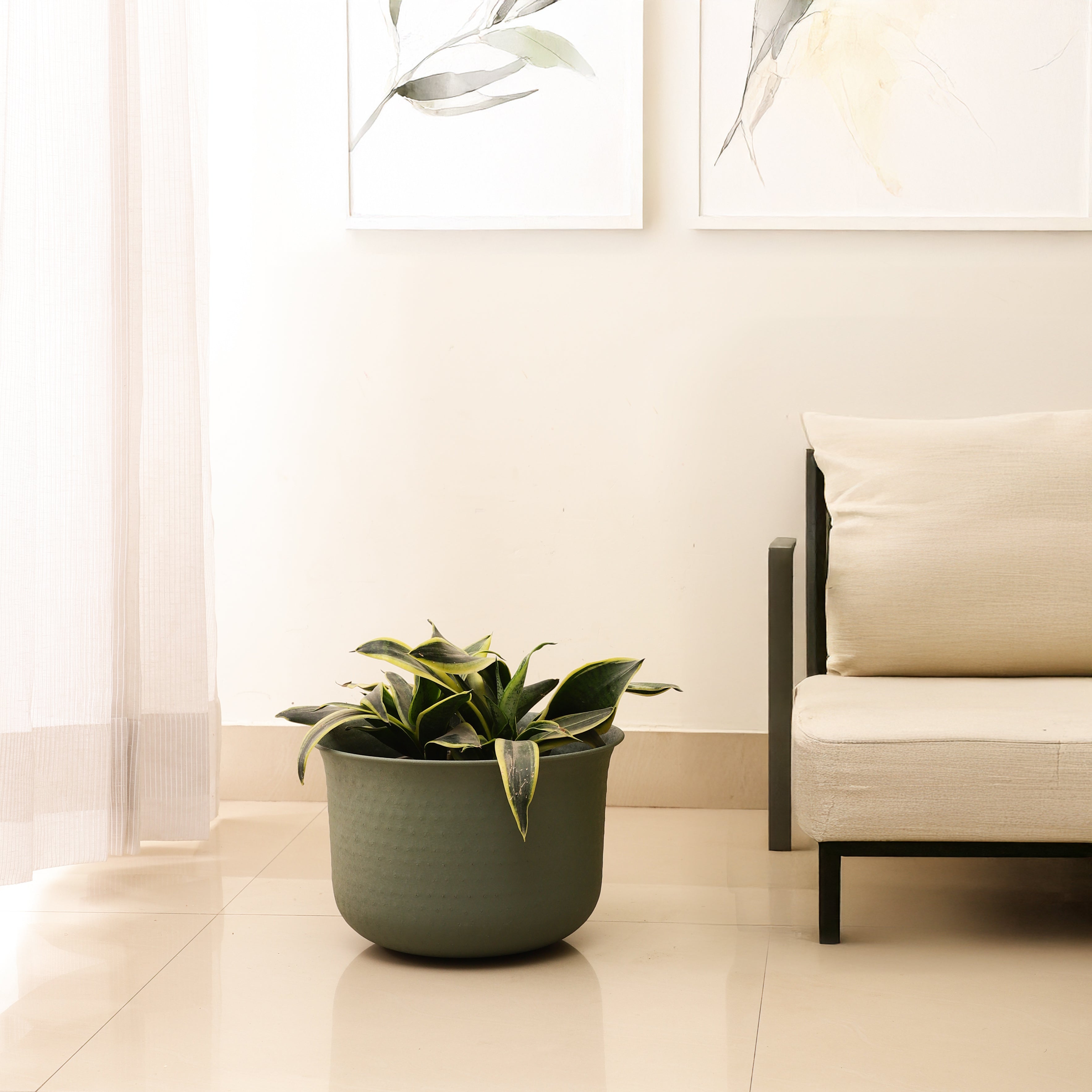 FloraNest Green Small Garden Planter/Pot Indoor & Outdoor